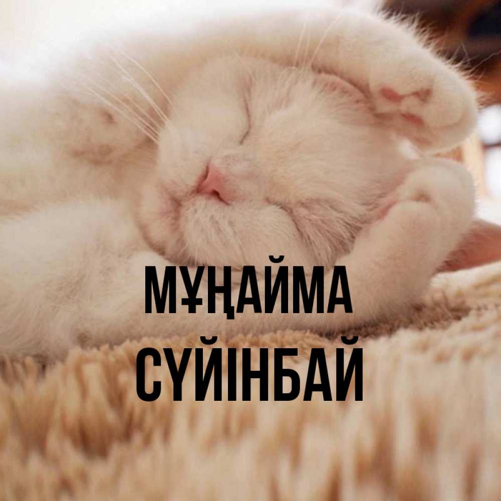 Күн сайын ашық хат с именем, СҮЙІНБАЙ Мұңайма Котенок спит Онлайн тегін жүктеп алу тілектері бар керемет карта 