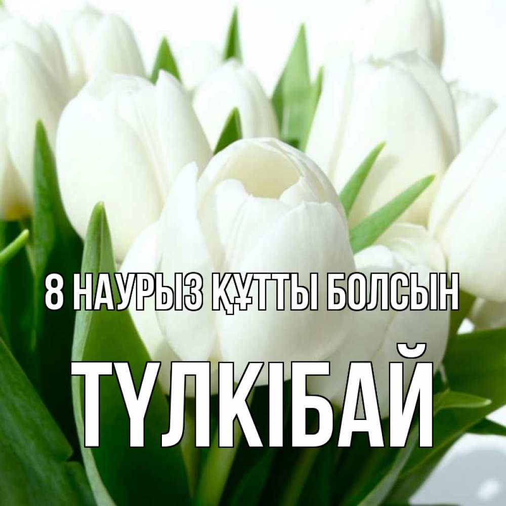 Күн сайын ашық хат с именем, ТҮЛКІБАЙ 8 наурыз құтты болсын цветы Онлайн тегін жүктеп алу тілектері бар керемет карта 