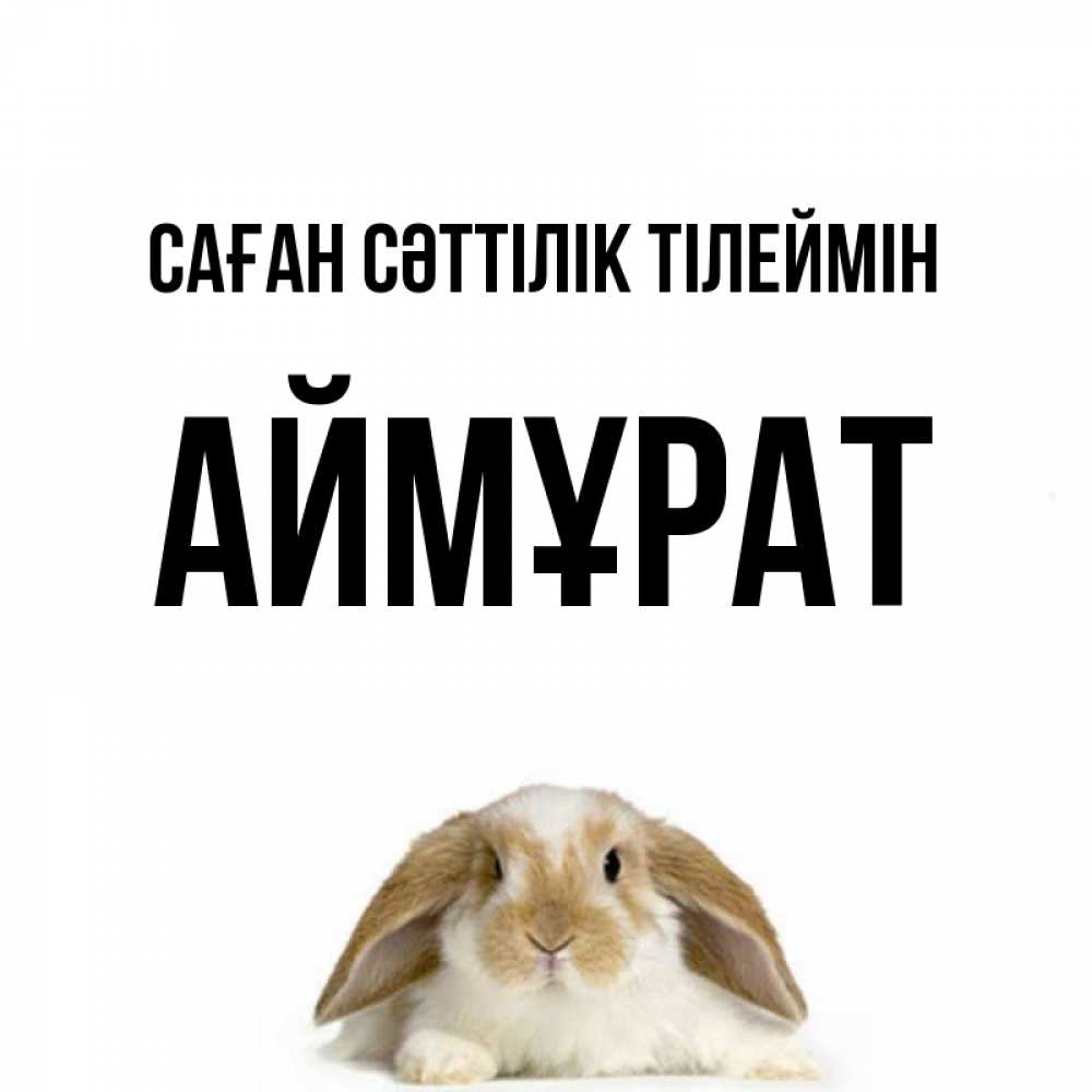 Күн сайын ашық хат с именем, Аймұрат Саған сәттілік тілеймін открытки с произвольным текстом который можно вставить в открытку и создать ее самостоятельно бесплатно онлайн Онлайн тегін жүктеп алу тілектері бар керемет карта 