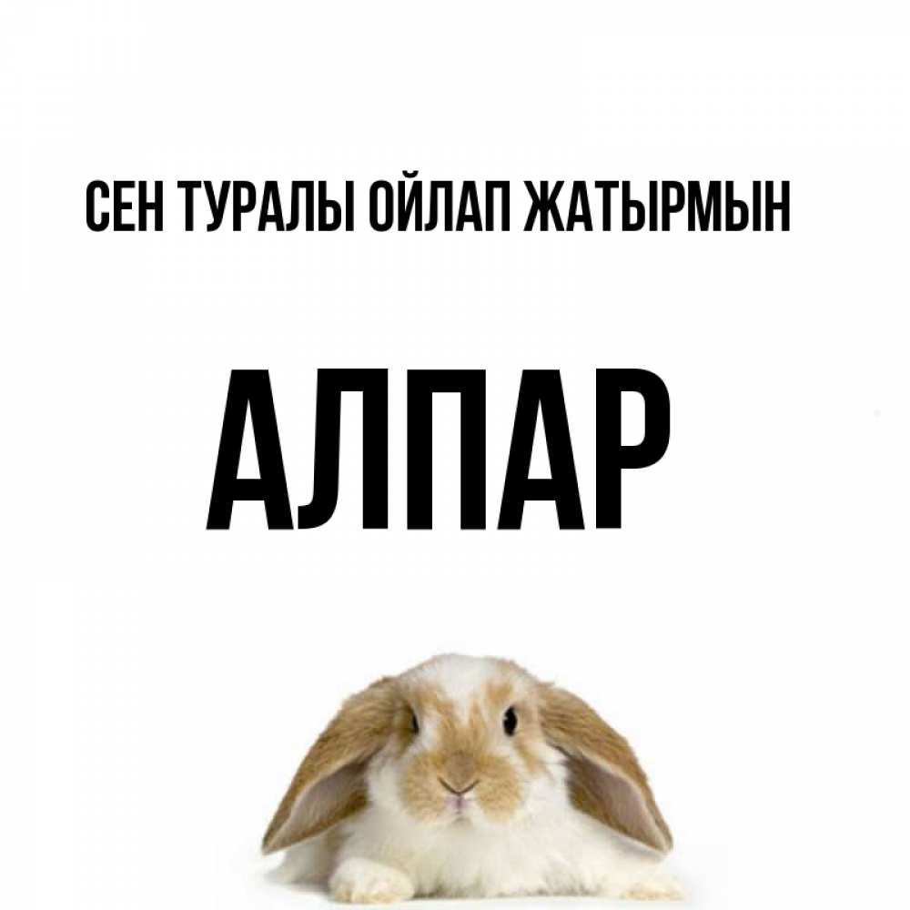 Күн сайын ашық хат с именем, Алпар Сен туралы ойлап жатырмын подписать своими руками онлайн Онлайн тегін жүктеп алу тілектері бар керемет карта 