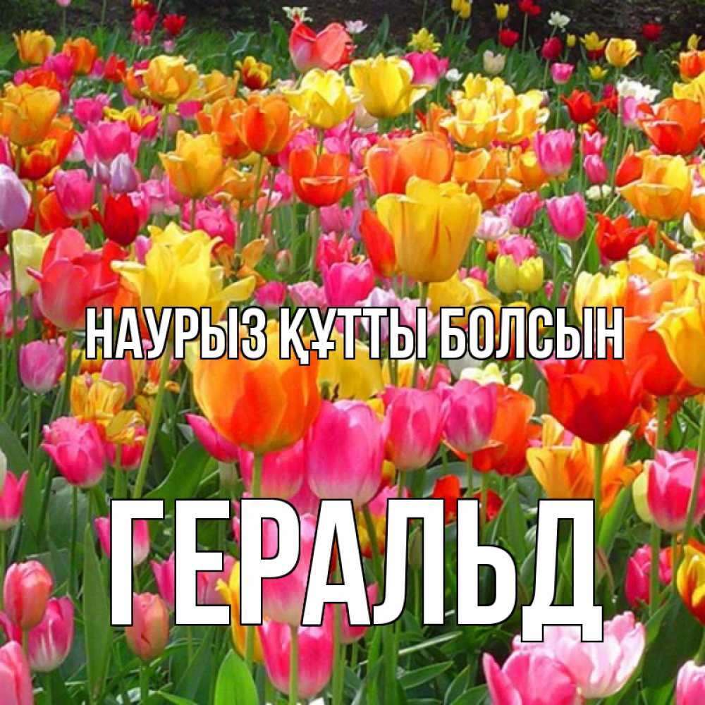 Күн сайын ашық хат с именем, Геральд Наурыз құтты болсын на наурыз  ура ура Онлайн тегін жүктеп алу тілектері бар керемет карта 
