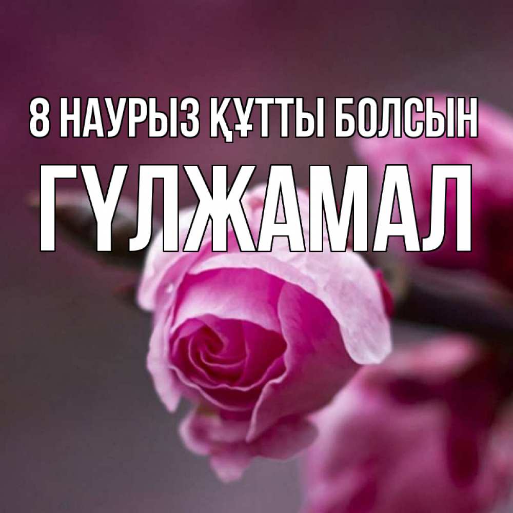 Күн сайын ашық хат с именем, ГҮЛЖАМАЛ 8 наурыз құтты болсын весна Онлайн тегін жүктеп алу тілектері бар керемет карта 
