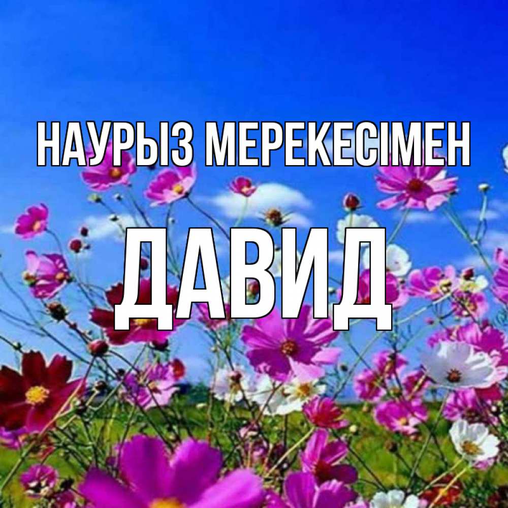 Күн сайын ашық хат с именем, Давид Наурыз мерекесімен цветы Онлайн тегін жүктеп алу тілектері бар керемет карта 