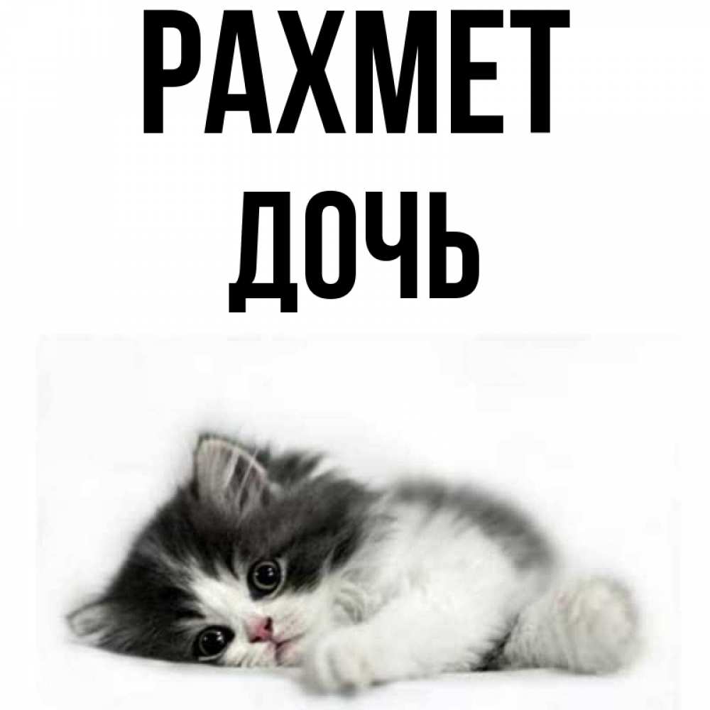 Күн сайын ашық хат с именем, Дочь рахмет черный и белый кот Онлайн тегін жүктеп алу тілектері бар керемет карта 