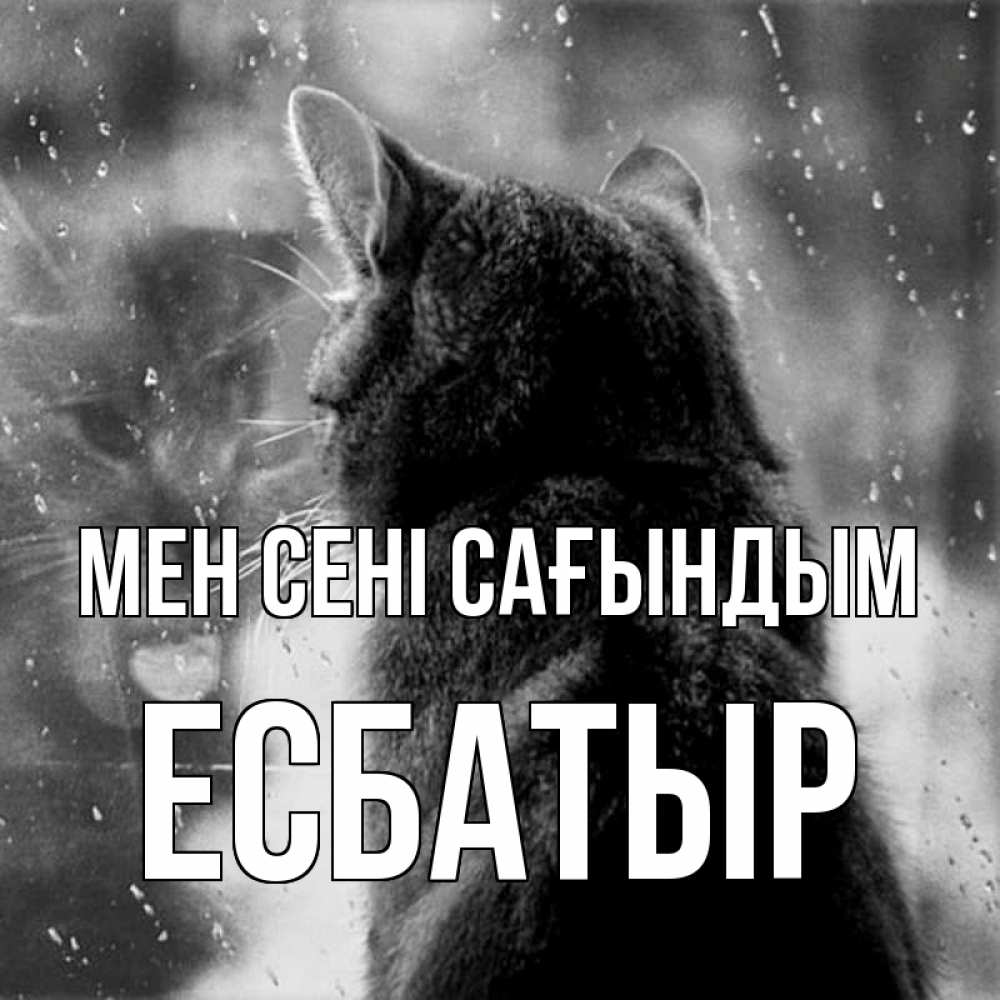 Күн сайын ашық хат с именем, Есбатыр Мен сені сағындым скорее ко мне приходи 1 Онлайн тегін жүктеп алу тілектері бар керемет карта 