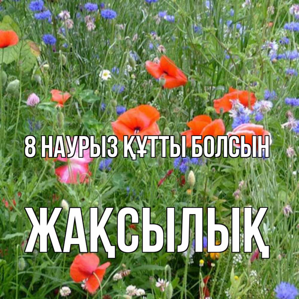 Күн сайын ашық хат с именем, Жақсылық 8 наурыз құтты болсын международный женский день 4 Онлайн тегін жүктеп алу тілектері бар керемет карта 