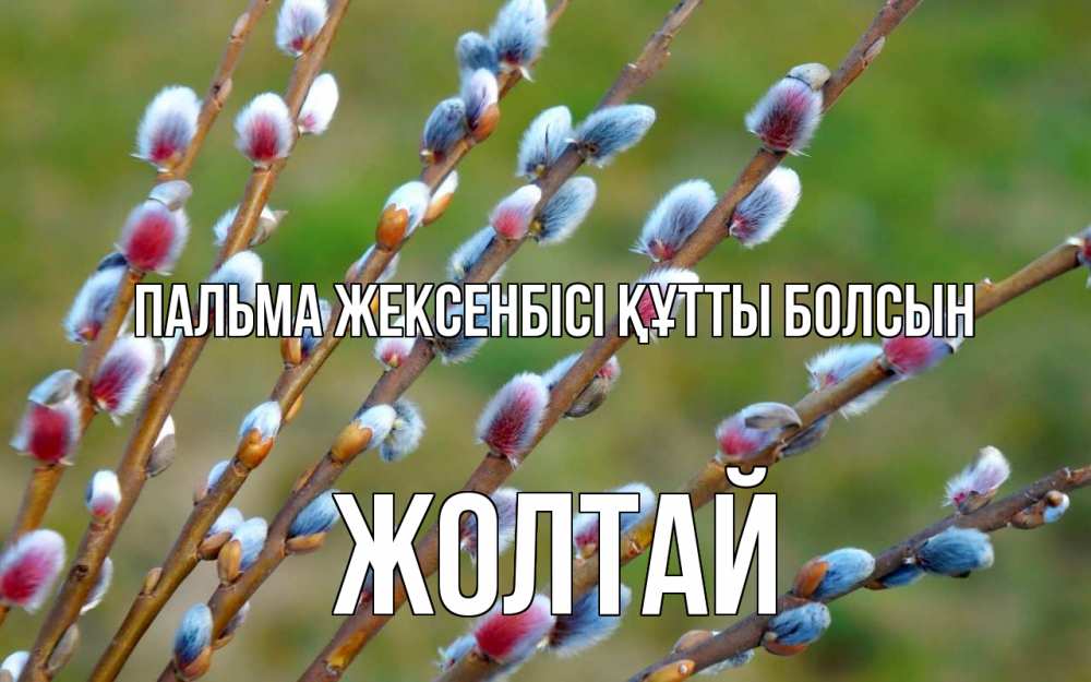 Күн сайын ашық хат с именем, Жолтай Пальма жексенбісі құтты болсын верба Онлайн тегін жүктеп алу тілектері бар керемет карта 