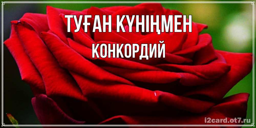 Күн сайын ашық хат с именем, Конкордий Туған күніңмен розочка очень красивая Онлайн тегін жүктеп алу тілектері бар керемет карта 