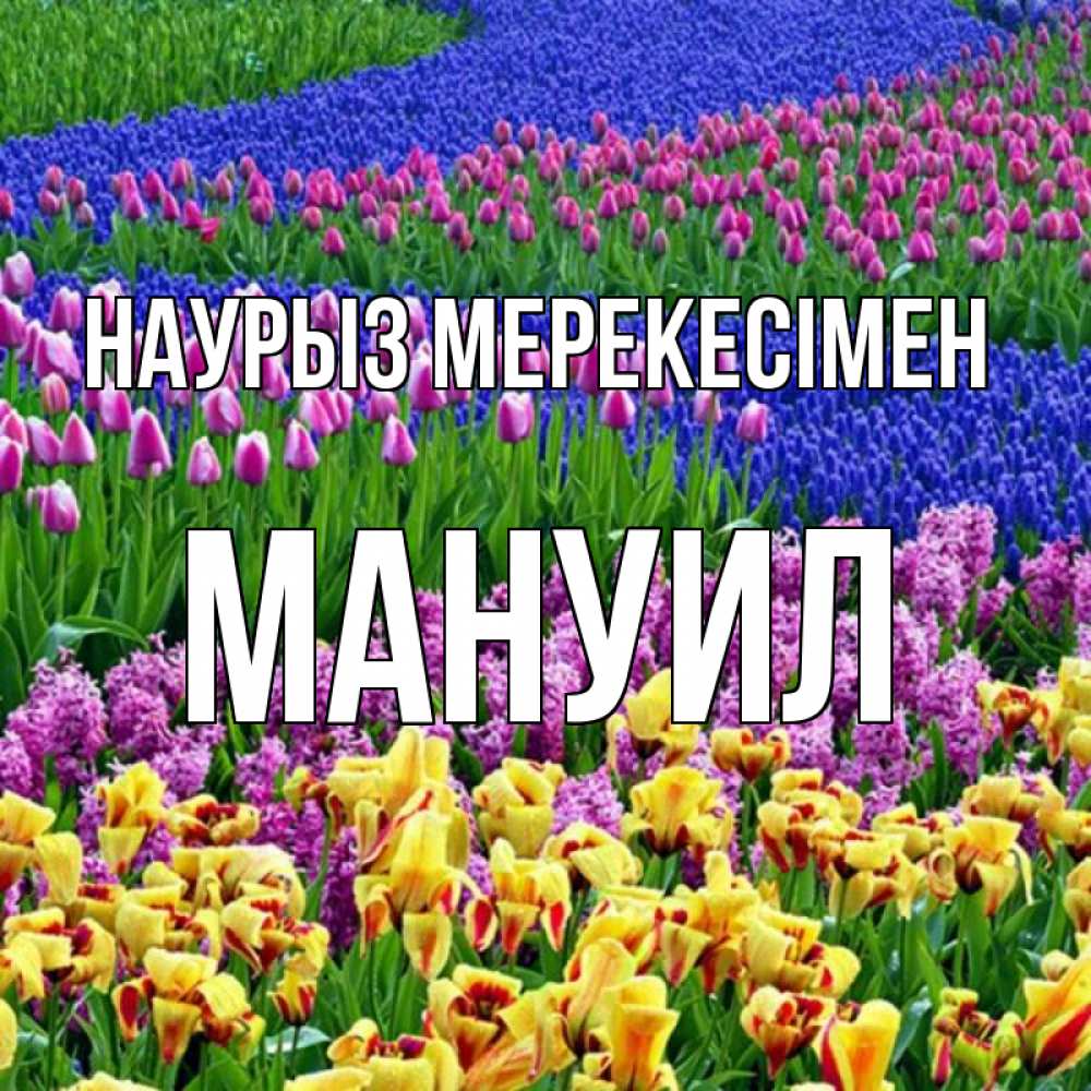 Күн сайын ашық хат с именем, Мануил Наурыз мерекесімен цветы Онлайн тегін жүктеп алу тілектері бар керемет карта 