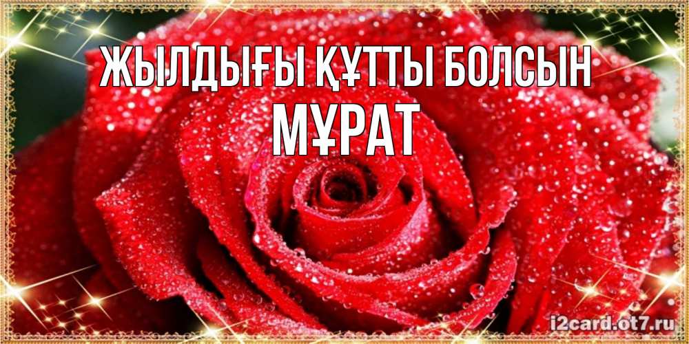 Күн сайын ашық хат с именем, МҰРАТ Жылдығы құтты болсын роса и роза. открытка с красивой розой Онлайн тегін жүктеп алу тілектері бар керемет карта 
