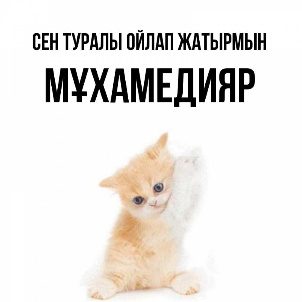 Күн сайын ашық хат с именем, МҰХАМЕДИЯР Сен туралы ойлап жатырмын зверушки и милота Онлайн тегін жүктеп алу тілектері бар керемет карта 