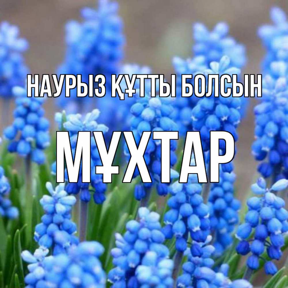 Күн сайын ашық хат с именем, МҰХТАР Наурыз құтты болсын Поздравительная открытка для женщин с цветами на праздничную дату Онлайн тегін жүктеп алу тілектері бар керемет карта 