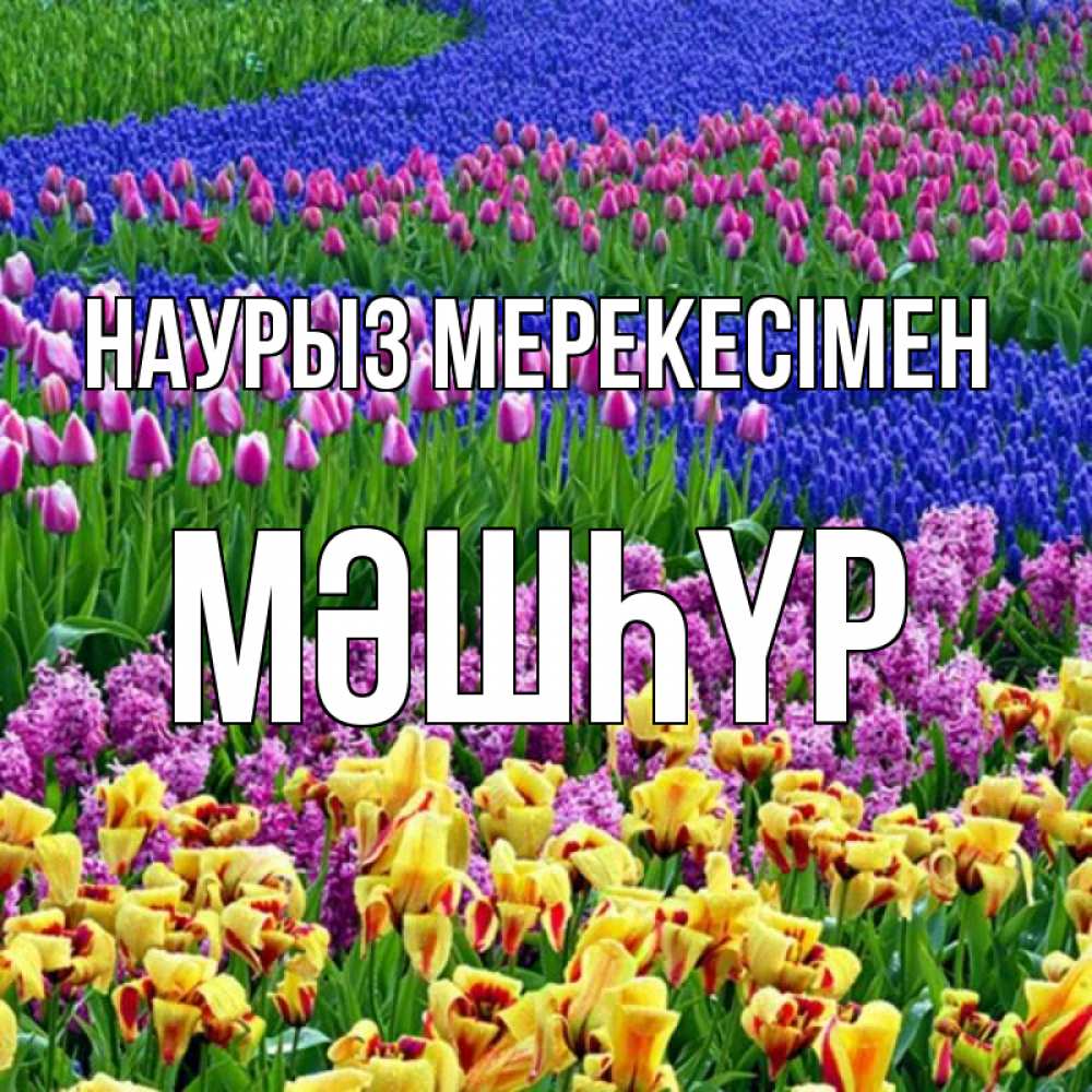 Күн сайын ашық хат с именем, МӘШҺҮР Наурыз мерекесімен цветы Онлайн тегін жүктеп алу тілектері бар керемет карта 