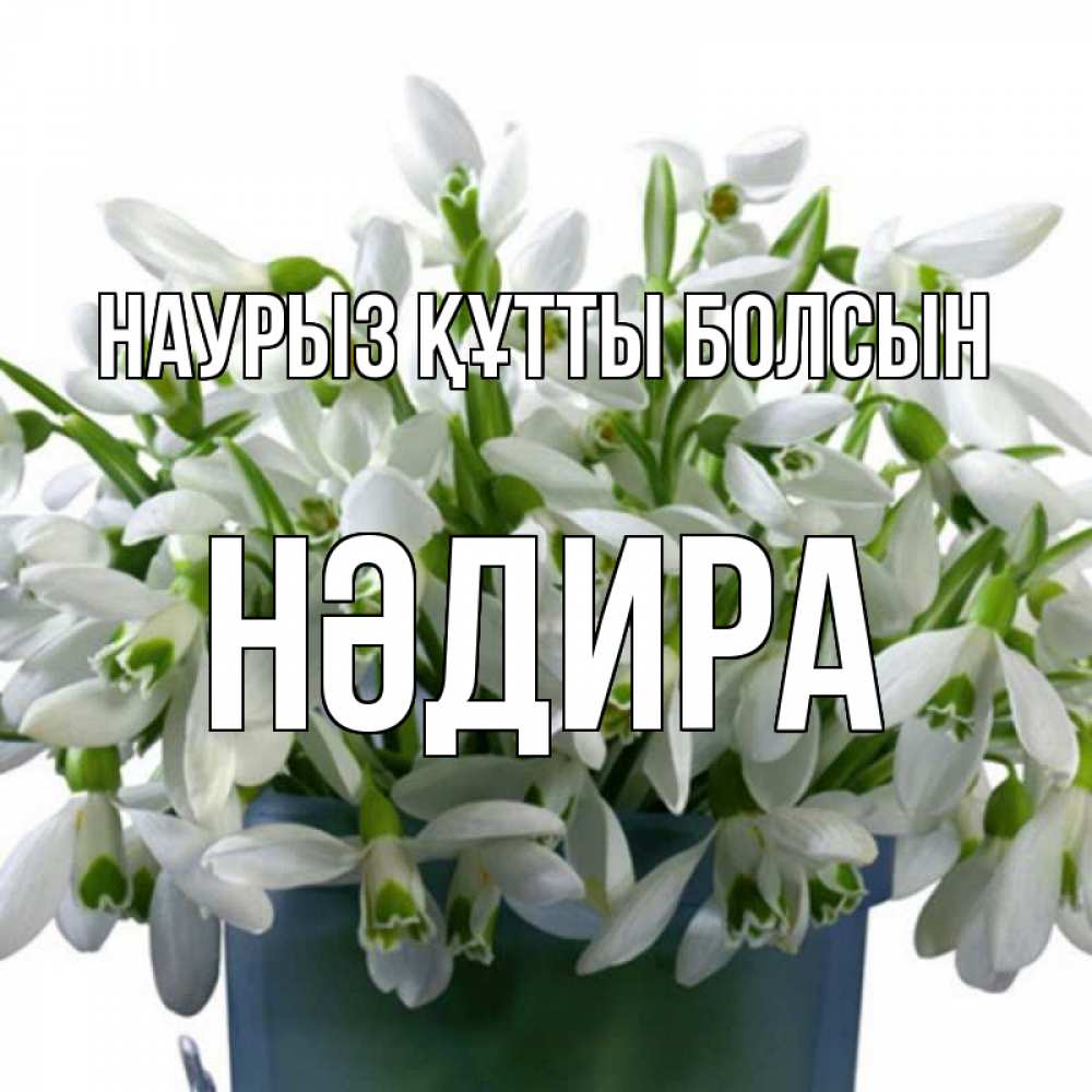 Күн сайын ашық хат с именем, НӘДИРА Наурыз құтты болсын цветы к наурызу Онлайн тегін жүктеп алу тілектері бар керемет карта 