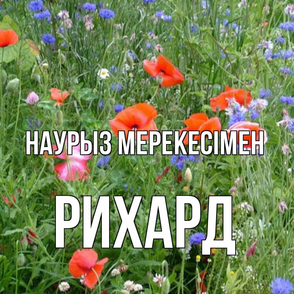 Күн сайын ашық хат с именем, Рихард Наурыз мерекесімен праздник весны наурыз супер открытка Онлайн тегін жүктеп алу тілектері бар керемет карта 
