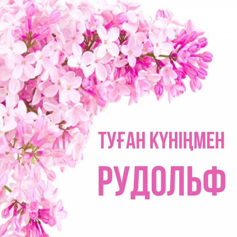 Күн сайын ашық хат с именем, Рудольф Туған күніңмен Сирень на белом фоне Онлайн тегін жүктеп алу тілектері бар керемет карта 