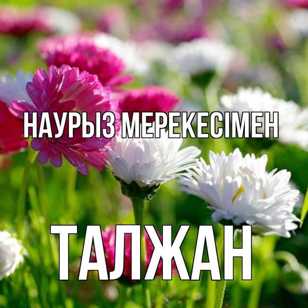 Күн сайын ашық хат с именем, ТАЛЖАН Наурыз мерекесімен праздник весны наурыз красота Онлайн тегін жүктеп алу тілектері бар керемет карта 