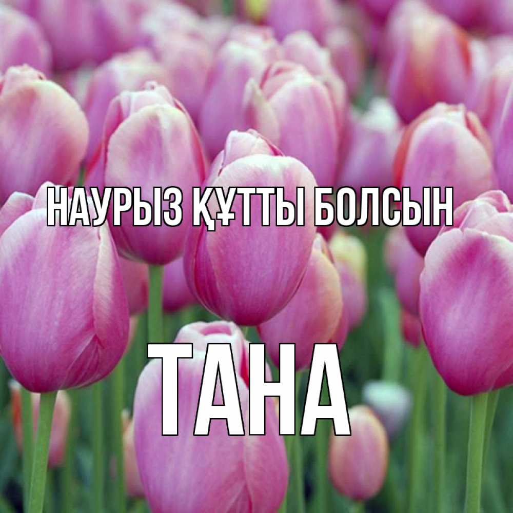Күн сайын ашық хат с именем, ТАНА Наурыз құтты болсын на наурыз  день 3 Онлайн тегін жүктеп алу тілектері бар керемет карта 