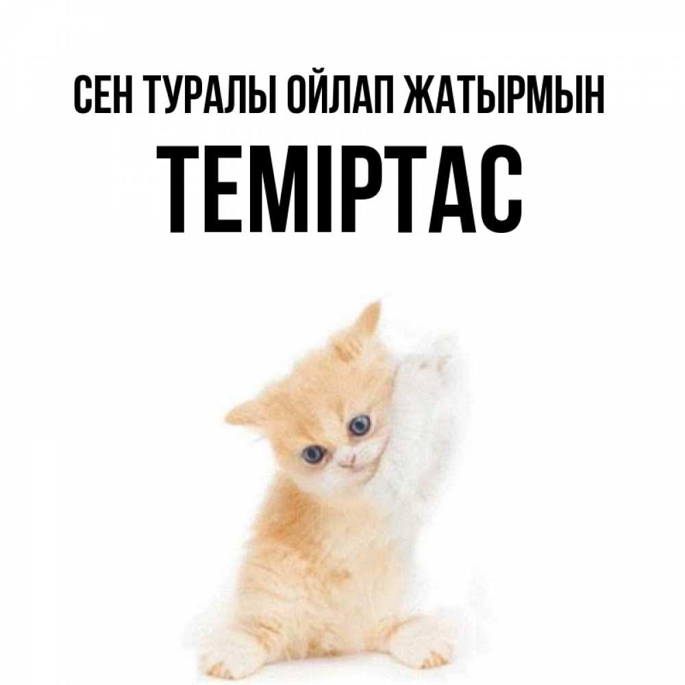 Күн сайын ашық хат с именем, ТЕМІРТАС Сен туралы ойлап жатырмын зверушки и милота Онлайн тегін жүктеп алу тілектері бар керемет карта 