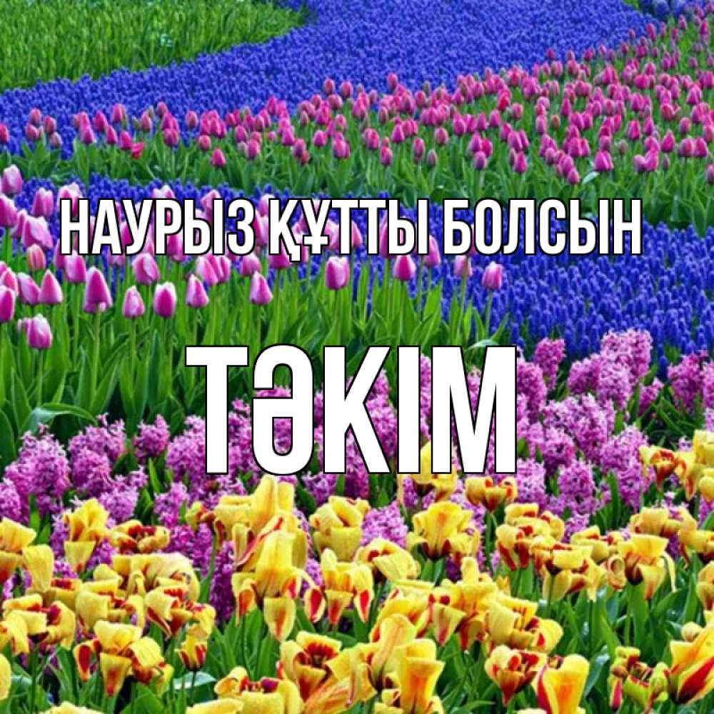 Күн сайын ашық хат с именем, ТӘКІМ Наурыз құтты болсын цветы Онлайн тегін жүктеп алу тілектері бар керемет карта 
