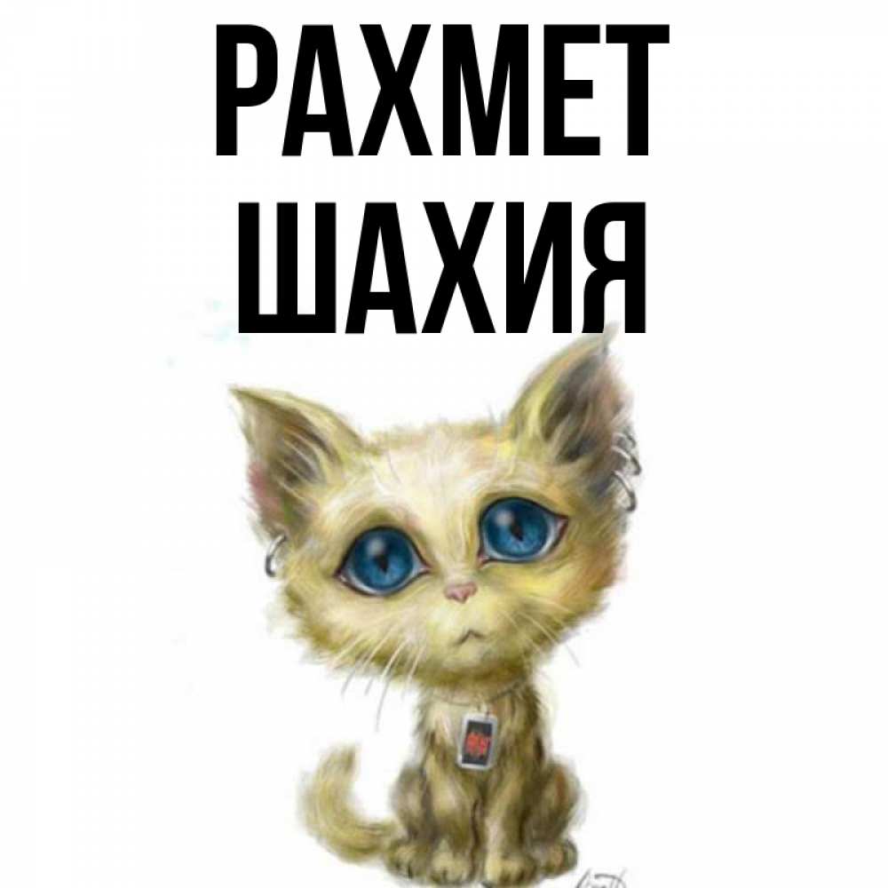 Күн сайын ашық хат с именем, ШАХИЯ рахмет рисованный кот благодарит вас Онлайн тегін жүктеп алу тілектері бар керемет карта 