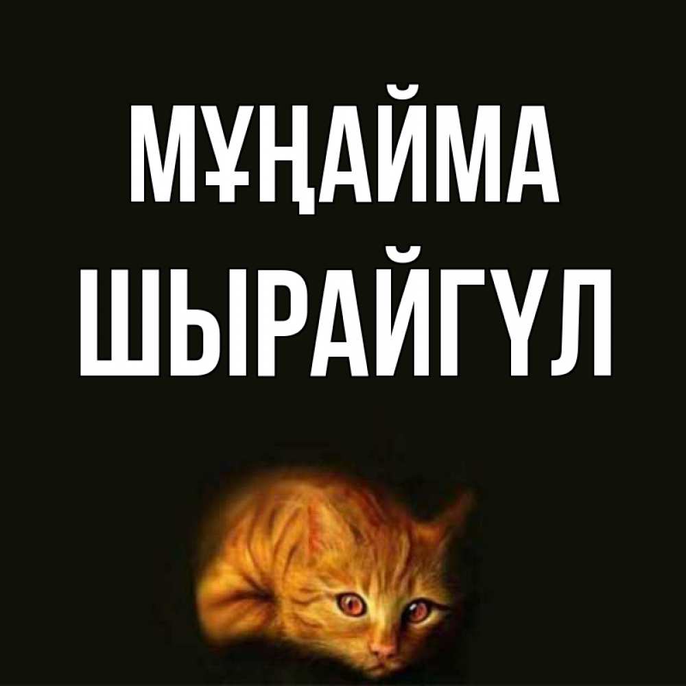Күн сайын ашық хат с именем, ШЫРАЙГҮЛ Мұңайма лежащий кот в темноте Онлайн тегін жүктеп алу тілектері бар керемет карта 
