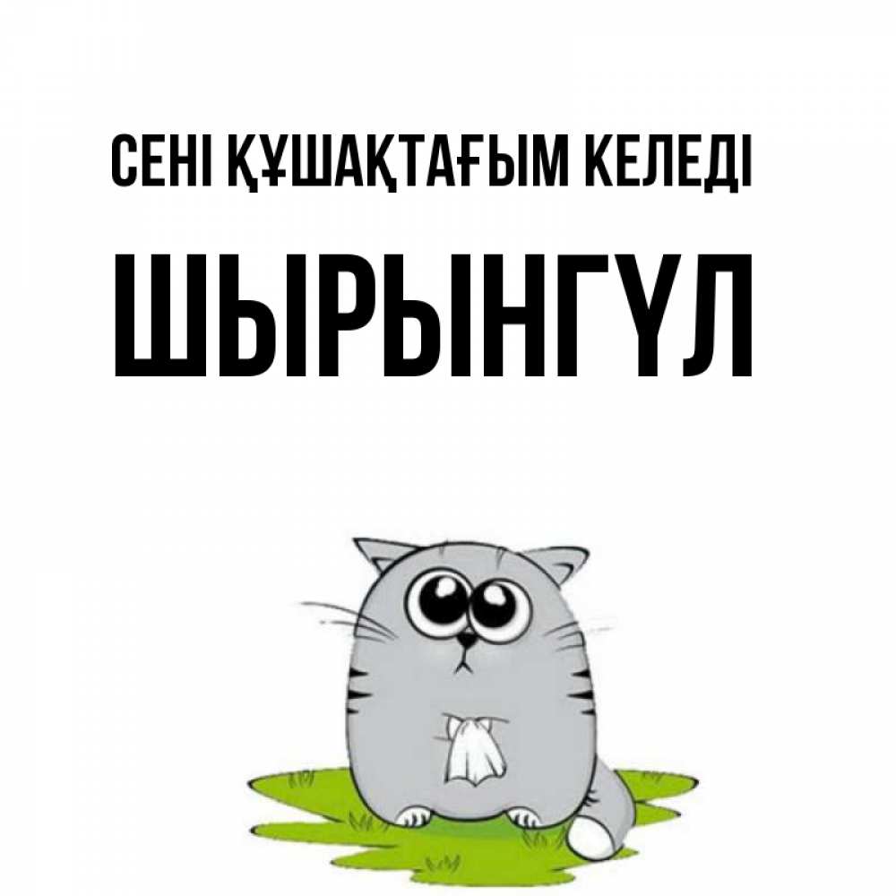 Күн сайын ашық хат с именем, ШЫРЫНГҮЛ сені құшақтағым келеді котик теребит платочек сидя на травке Онлайн тегін жүктеп алу тілектері бар керемет карта 