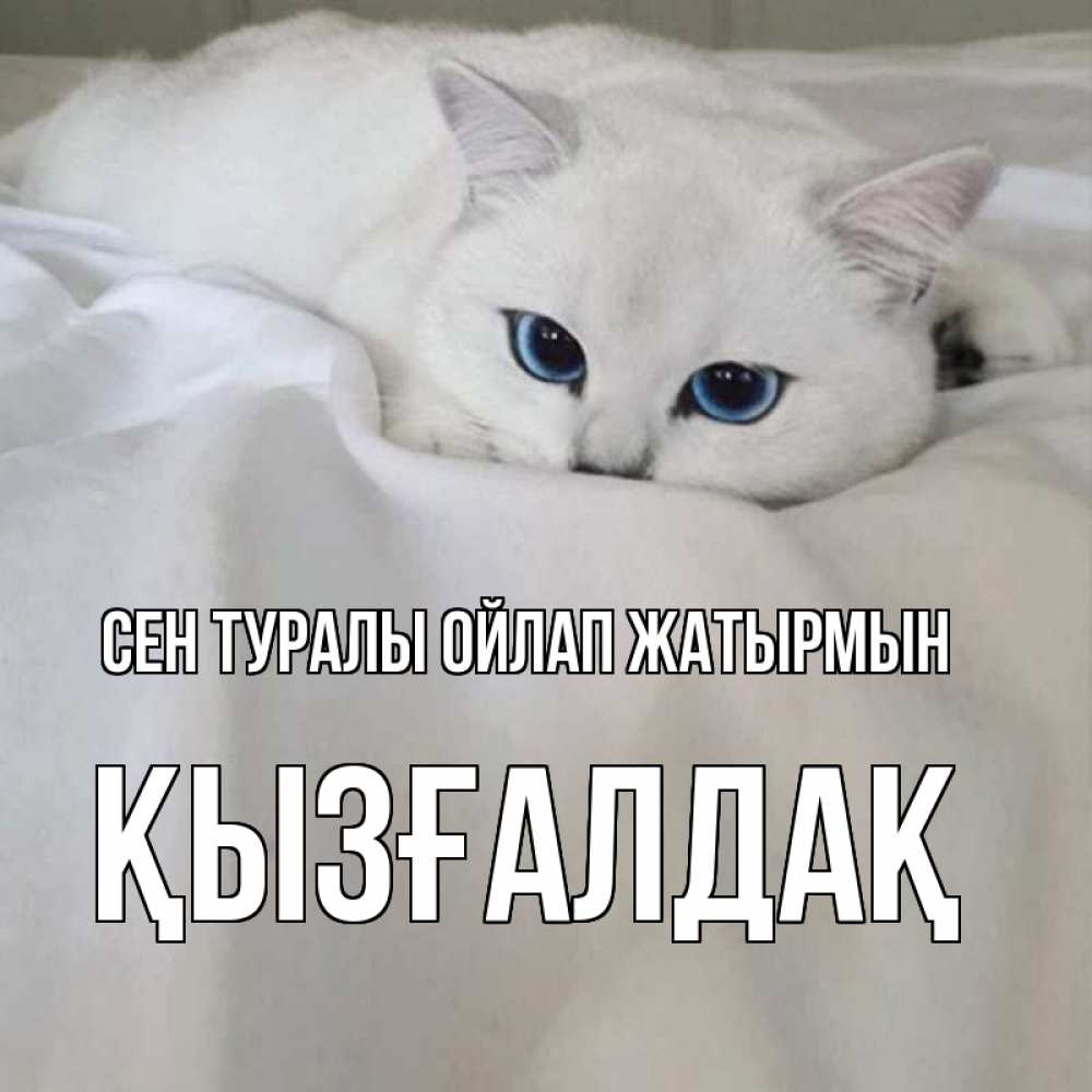 Күн сайын ашық хат с именем, ҚЫЗҒАЛДАҚ Сен туралы ойлап жатырмын я очень по тебе скучаю и тоскую Онлайн тегін жүктеп алу тілектері бар керемет карта 
