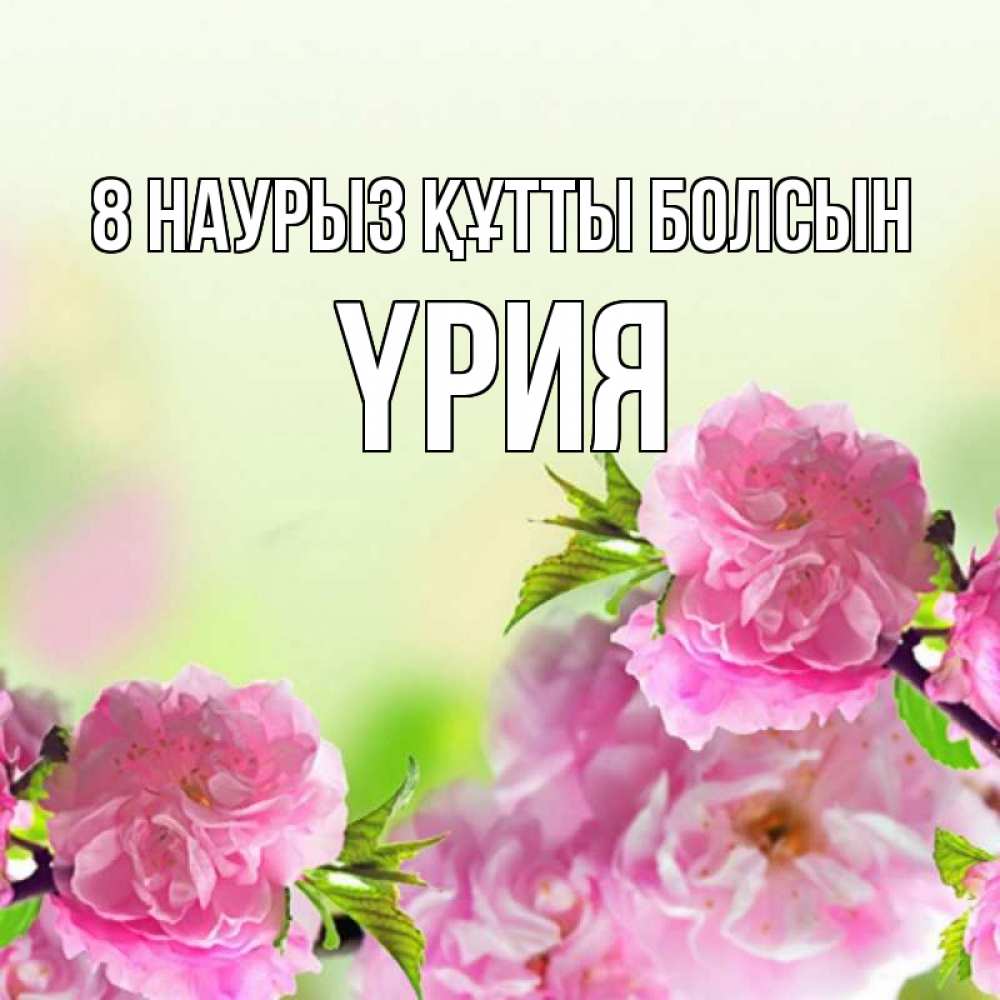 Күн сайын ашық хат с именем, ҮРИЯ 8 наурыз құтты болсын цветы Онлайн тегін жүктеп алу тілектері бар керемет карта 