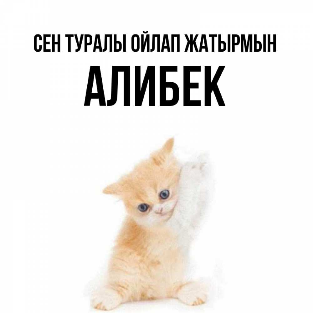 Күн сайын ашық хат с именем, Алибек Сен туралы ойлап жатырмын зверушки и милота Онлайн тегін жүктеп алу тілектері бар керемет карта 