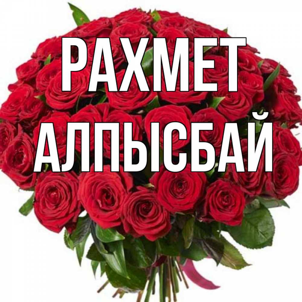 Күн сайын ашық хат с именем, Алпысбай рахмет букет красных роз Онлайн тегін жүктеп алу тілектері бар керемет карта 