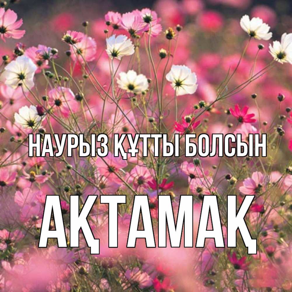 Күн сайын ашық хат с именем, Ақтамақ Наурыз құтты болсын красиво 1 Онлайн тегін жүктеп алу тілектері бар керемет карта 