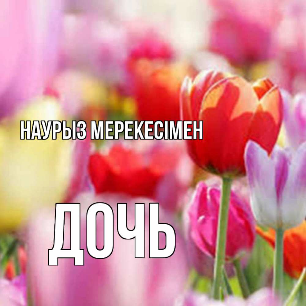Күн сайын ашық хат с именем, Дочь Наурыз мерекесімен праздник весны наурыз 67 Онлайн тегін жүктеп алу тілектері бар керемет карта 