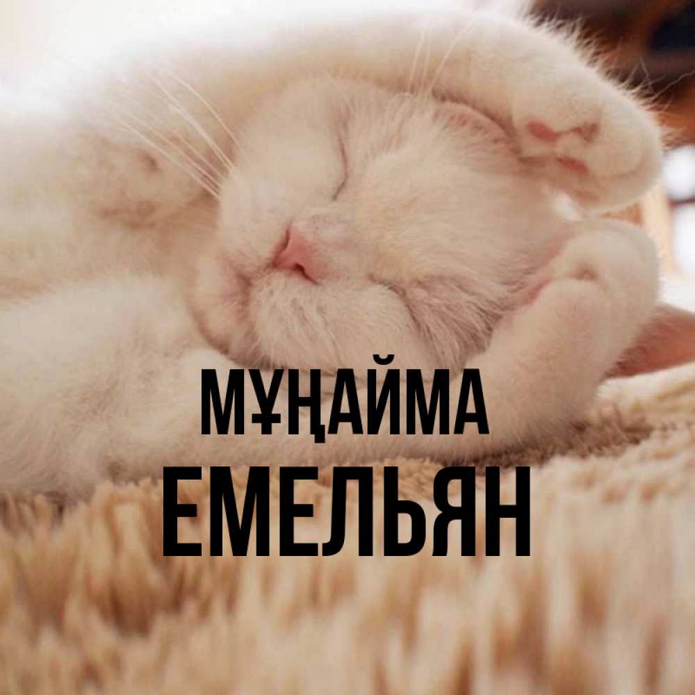Күн сайын ашық хат с именем, Емельян Мұңайма Котенок спит Онлайн тегін жүктеп алу тілектері бар керемет карта 