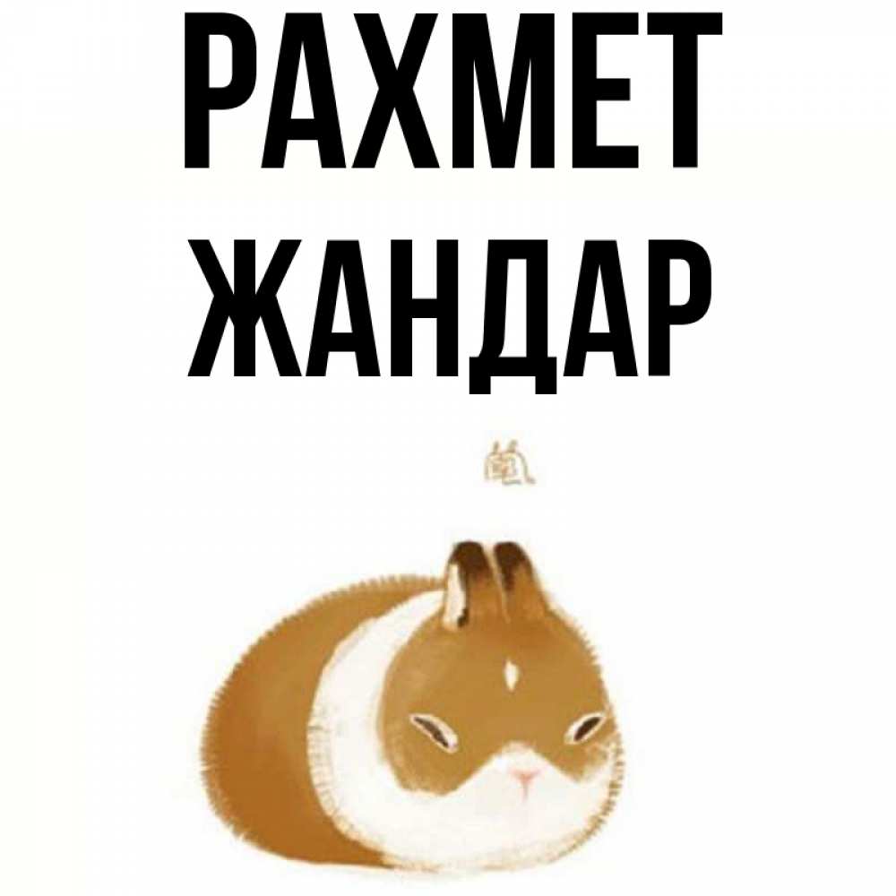 Күн сайын ашық хат с именем, Жандар рахмет коричнево белый домашний питомец Онлайн тегін жүктеп алу тілектері бар керемет карта 