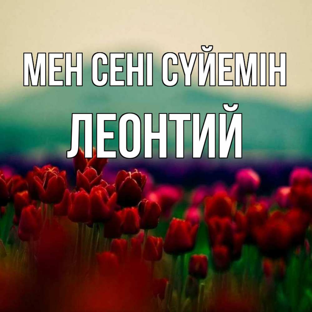 Күн сайын ашық хат с именем, Леонтий Мен сені сүйемін тюльпаны 4 Онлайн тегін жүктеп алу тілектері бар керемет карта 