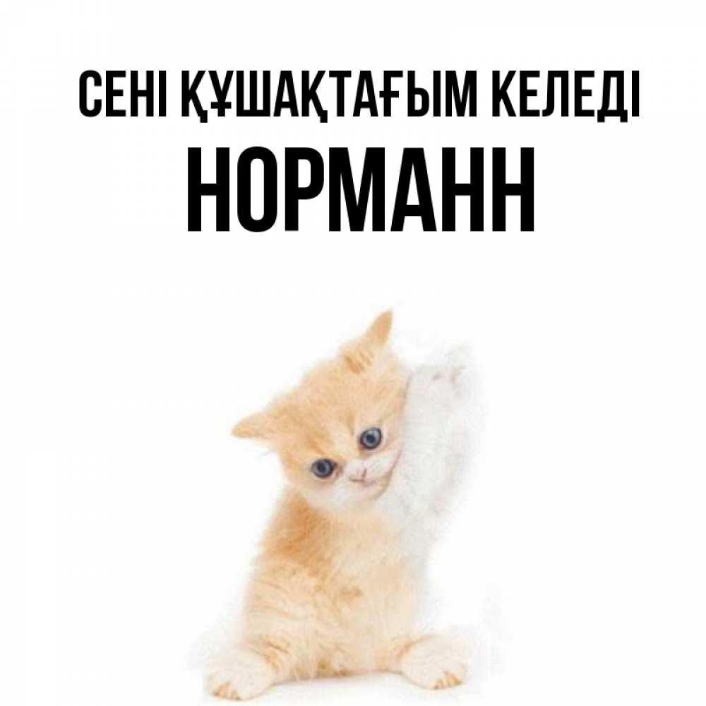 Күн сайын ашық хат с именем, Норманн сені құшақтағым келеді я хочу очень скорее обнимаешек Онлайн тегін жүктеп алу тілектері бар керемет карта 
