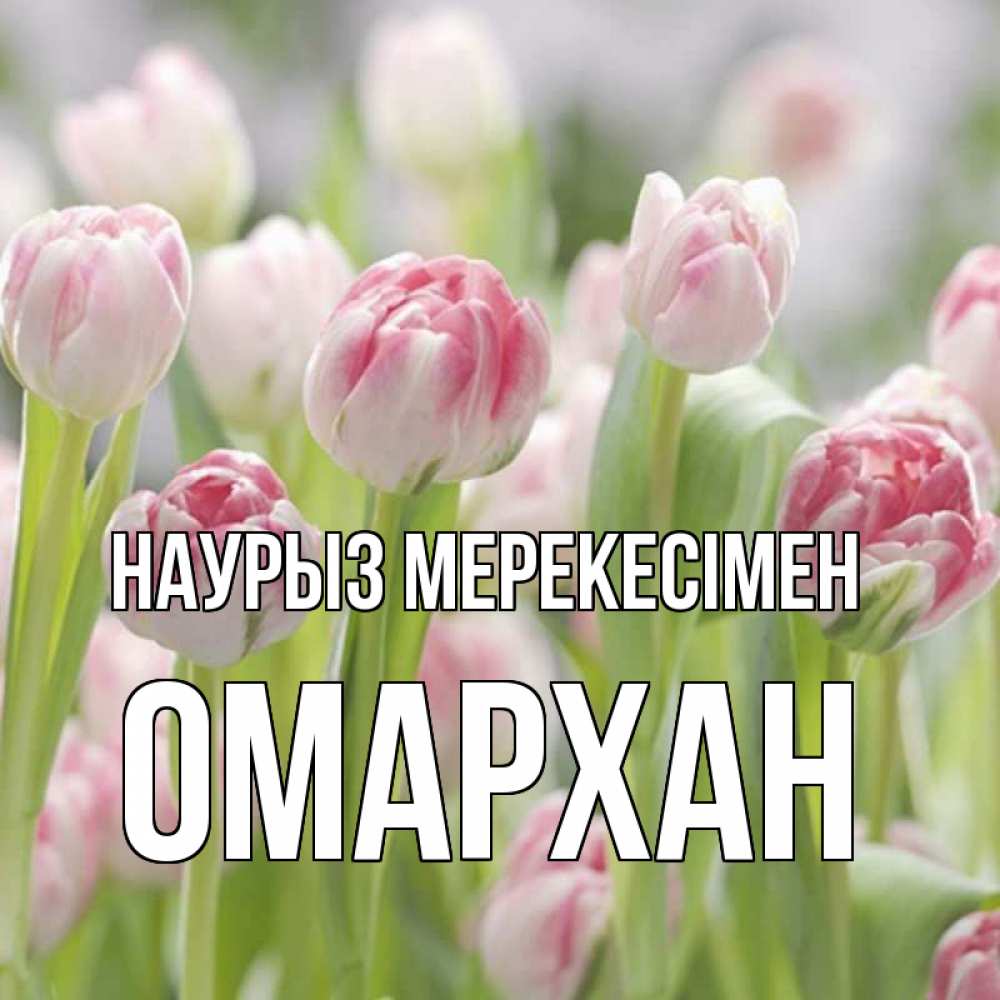 Күн сайын ашық хат с именем, ОМАРХАН Наурыз мерекесімен цветы Онлайн тегін жүктеп алу тілектері бар керемет карта 