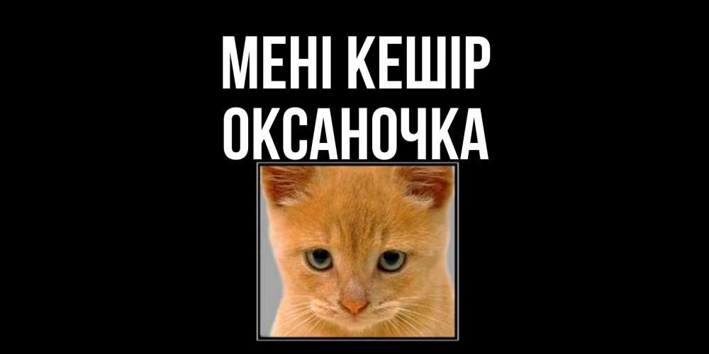 Күн сайын ашық хат с именем, Оксаночка Мені кешір рыжий грустный кот просит прощения Онлайн тегін жүктеп алу тілектері бар керемет карта 