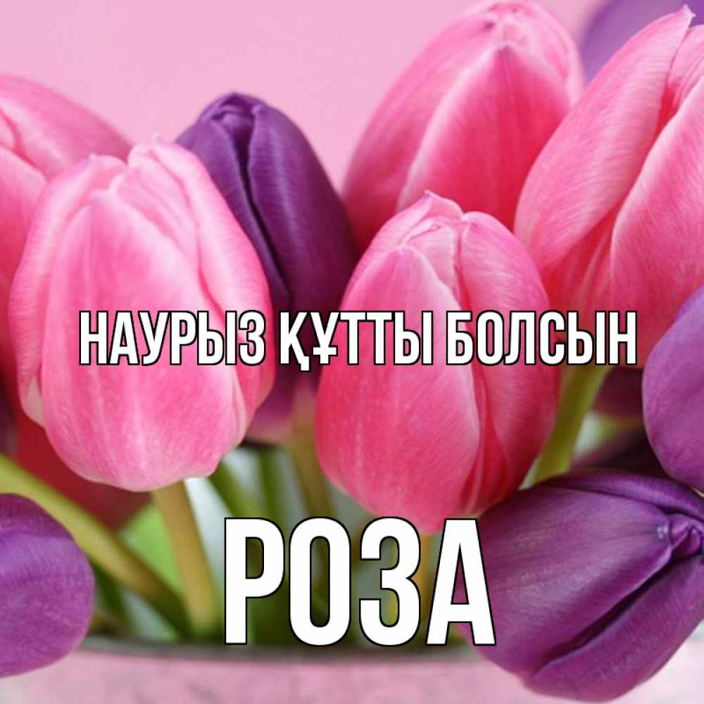 Күн сайын ашық хат с именем, РОЗА Наурыз құтты болсын маме 1 Онлайн тегін жүктеп алу тілектері бар керемет карта 
