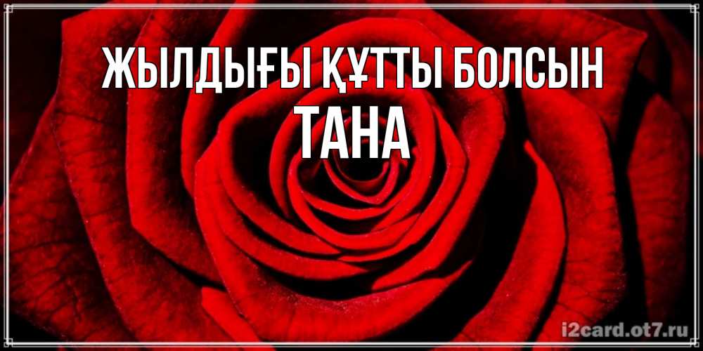 Күн сайын ашық хат с именем, ТАНА Жылдығы құтты болсын алая роза Онлайн тегін жүктеп алу тілектері бар керемет карта 