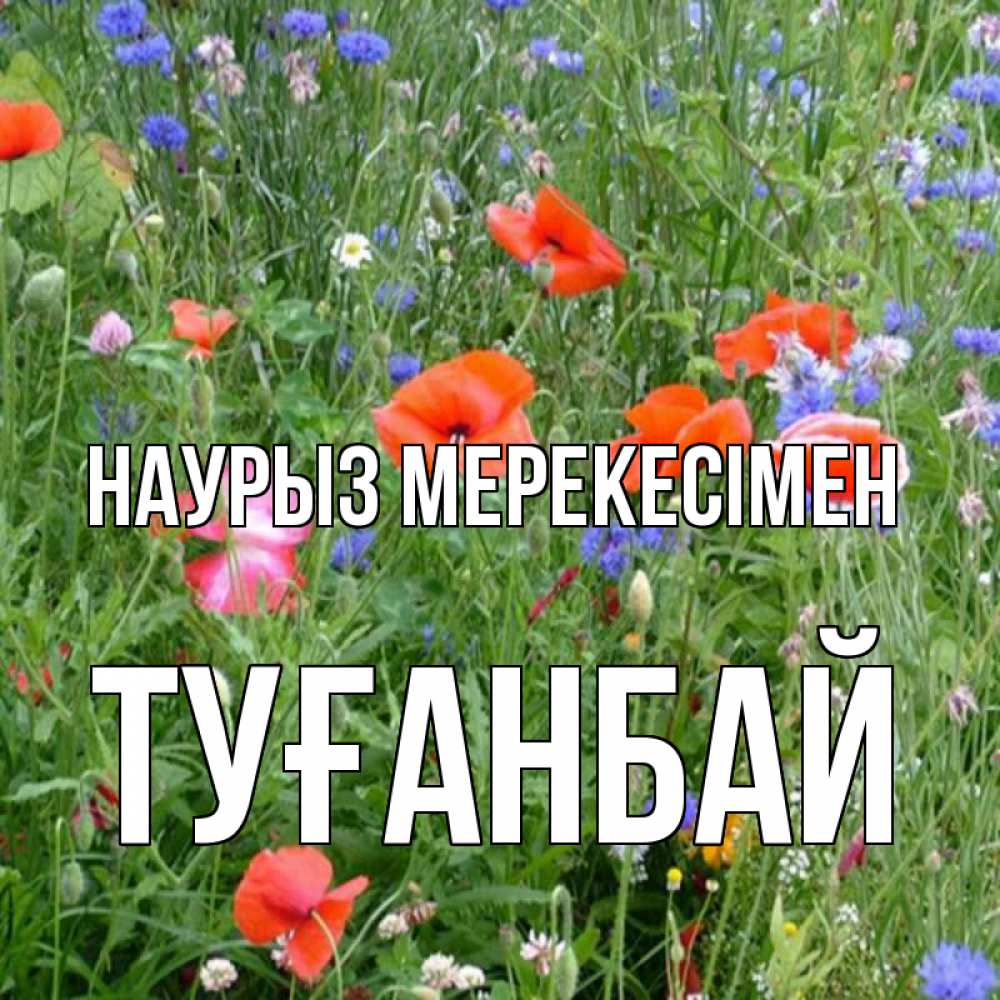 Күн сайын ашық хат с именем, ТУҒАНБАЙ Наурыз мерекесімен праздник весны наурыз супер открытка Онлайн тегін жүктеп алу тілектері бар керемет карта 