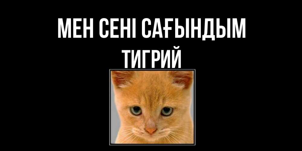 Күн сайын ашық хат с именем, Тигрий Мен сені сағындым открытки рыжий котенок скучает по тебе Онлайн тегін жүктеп алу тілектері бар керемет карта 