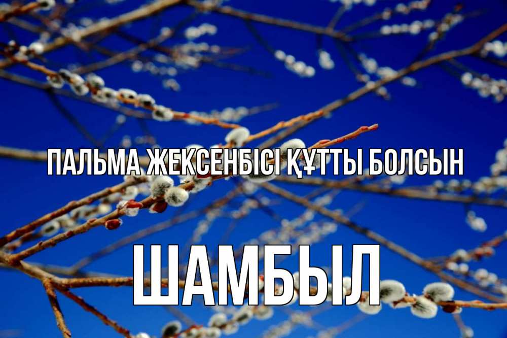 Күн сайын ашық хат с именем, ШАМБЫЛ Пальма жексенбісі құтты болсын верба Онлайн тегін жүктеп алу тілектері бар керемет карта 