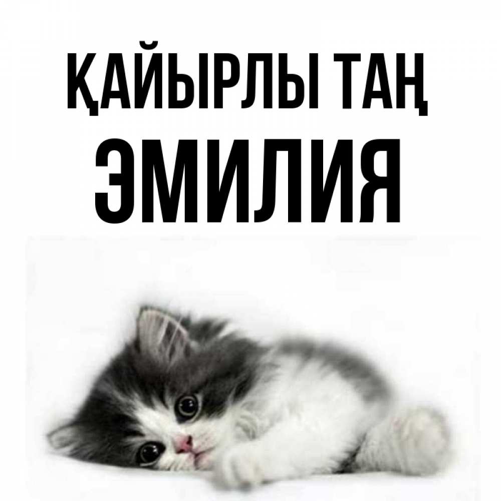 Күн сайын ашық хат с именем, Эмилия Қайырлы таң кот лапки Онлайн тегін жүктеп алу тілектері бар керемет карта 