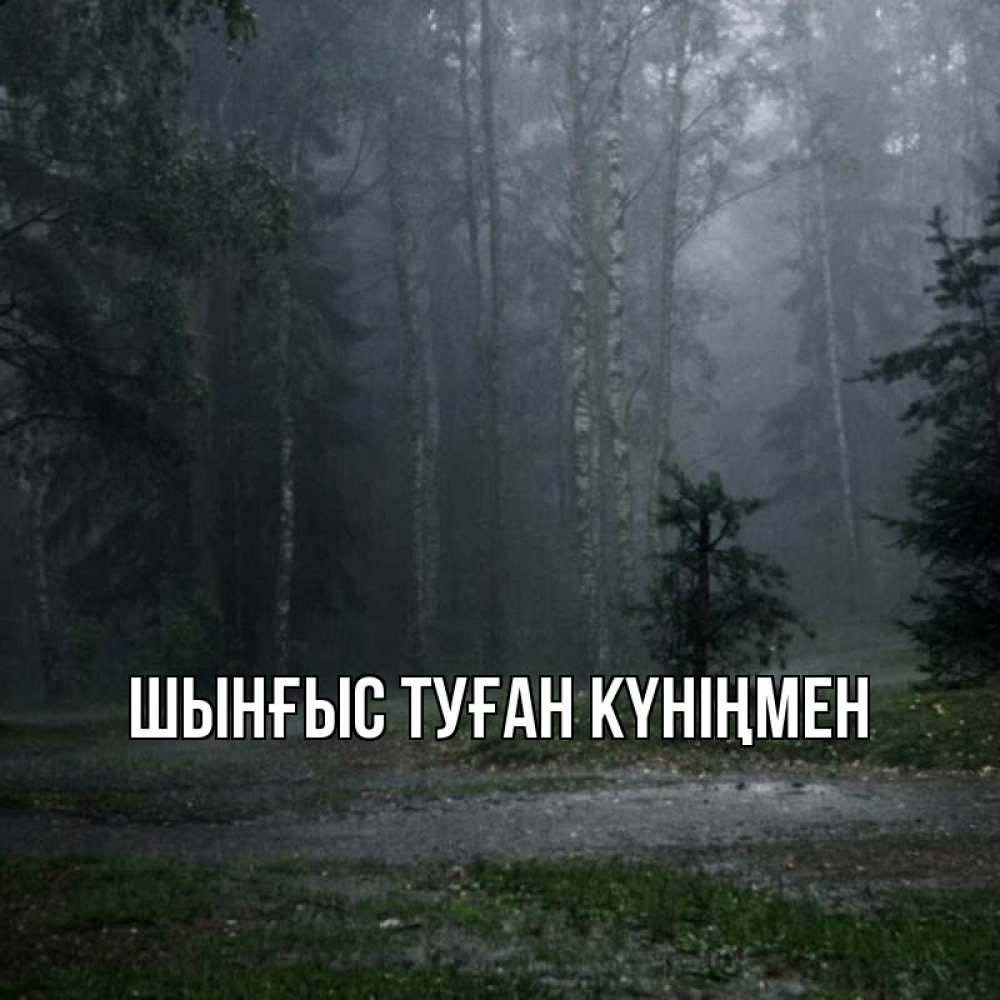 Картинка  с именем , ШЫНҒЫС! ТУҒАН КҮНІҢМЕН!