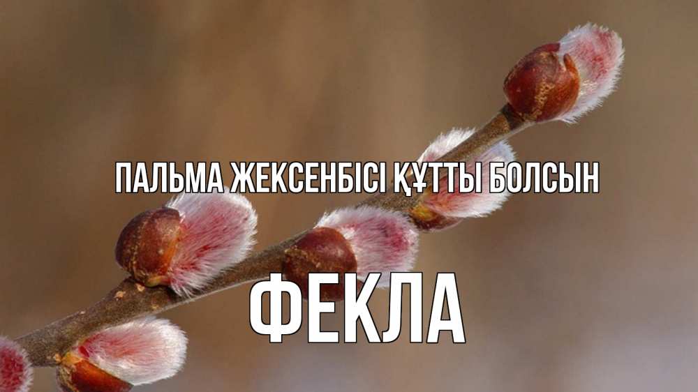 Картинка Пальма жексенбісі құтты болсын, Фекла