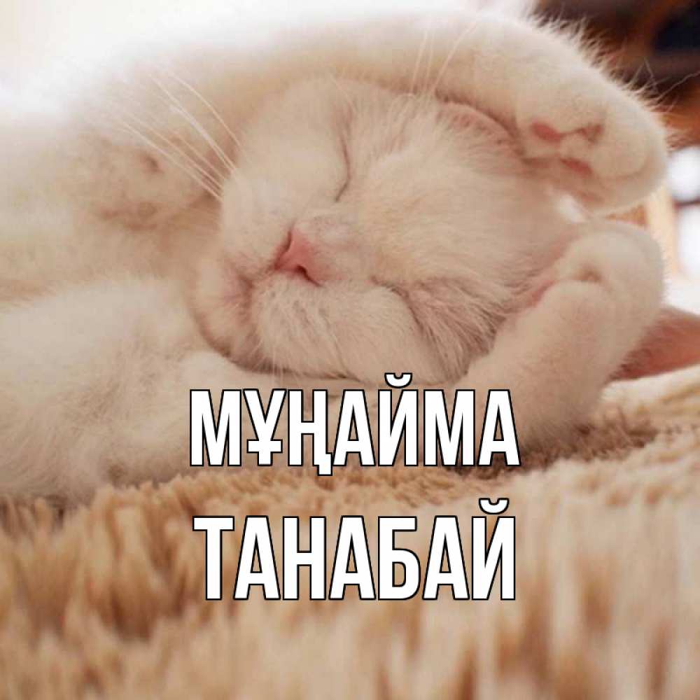 Күн сайын ашық хат с именем, ТАНАБАЙ Мұңайма белый кот Онлайн тегін жүктеп алу тілектері бар керемет карта 