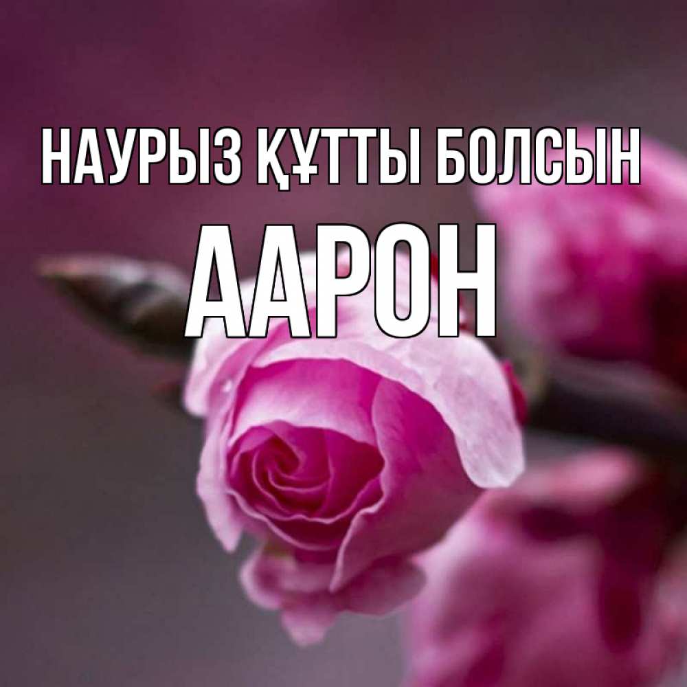 Күн сайын ашық хат с именем, Аарон Наурыз құтты болсын весна Онлайн тегін жүктеп алу тілектері бар керемет карта 