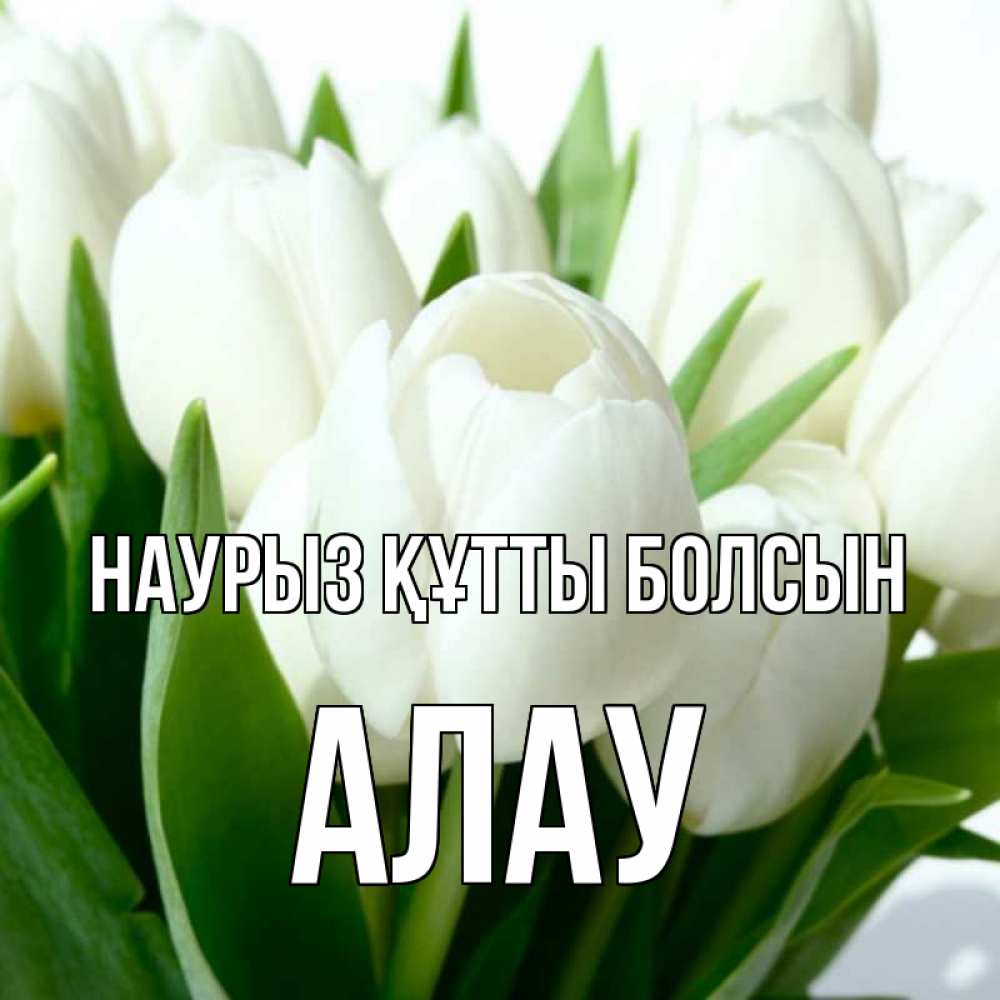 Күн сайын ашық хат с именем, Алау Наурыз құтты болсын цветы Онлайн тегін жүктеп алу тілектері бар керемет карта 